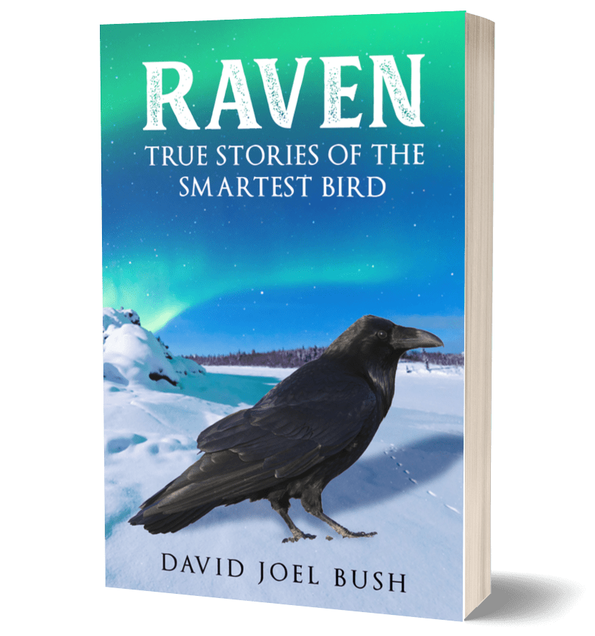Raven True Stories cover